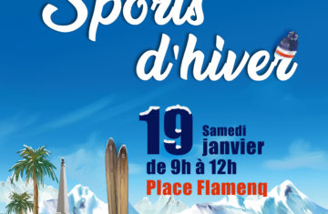 Puces Sports d’hiver