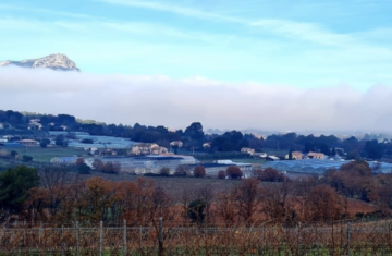 Fête de la Musique – Domaine de La Navicelle