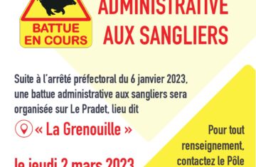 02 mars 2023 – Battue administrative aux sangliers