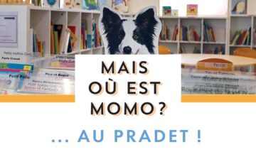 Exposition des Lecteurs : « Mais où est Momo ?… Au Pradet ! »