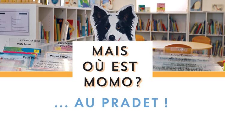 Exposition des Lecteurs : Mais où est Momo ? ... Au Pradet !