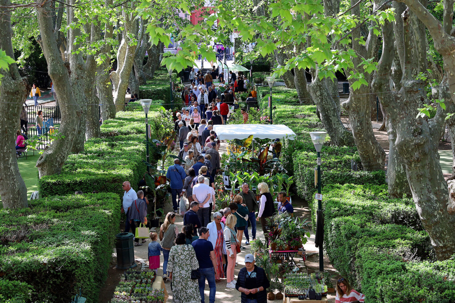 Le Pradet Côté Jardin 2024 Ville du Pradet