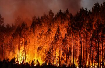 Risque feu de forêt