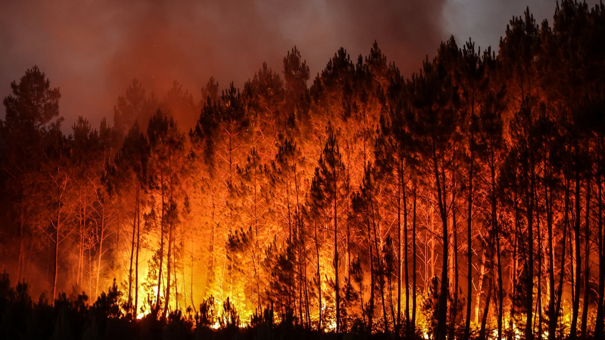 Risque feu de forêt – Ville du Pradet