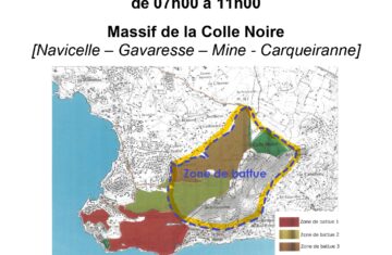 Battue aux sangliers