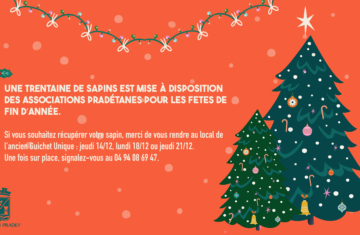 La ville offre des sapins à ses associations