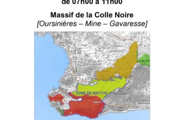 Battue de sangliers