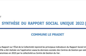 Rapport social unique (RSU)