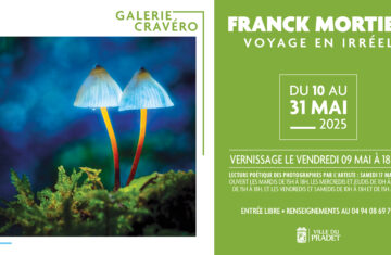 Exposition Franck MORTIER à la Galerie Cravéro