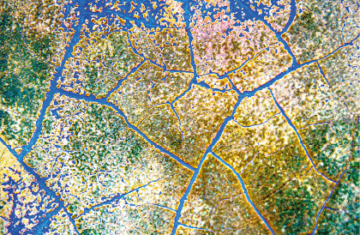 Exposition Hugues BERTIN à la Galerie Cravéro