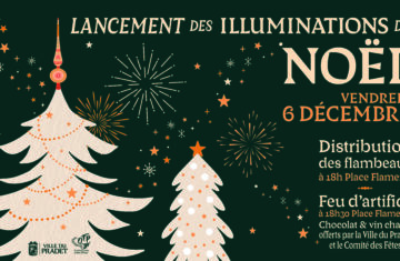 Noël 2024 – Lancement des illuminations