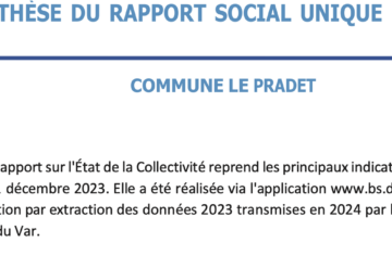 Rapport social unique (RSU)