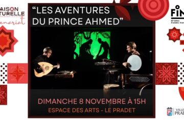 Ciné-concert : « Les aventures du Prince Ahmed »